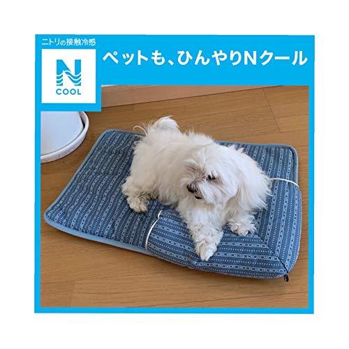 限られた ナース 財産 犬 ひんやり マット ニトリ Hormozgannews Com