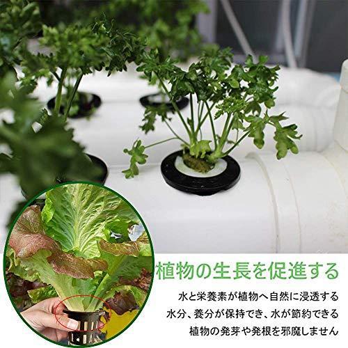 初回限定 24個 水耕栽培 スポンジ付き ポット 定植育苗かご 花盆 盆栽鉢 水培養野菜 蔬菜 花ポット 植物育 Topdental Com Ar