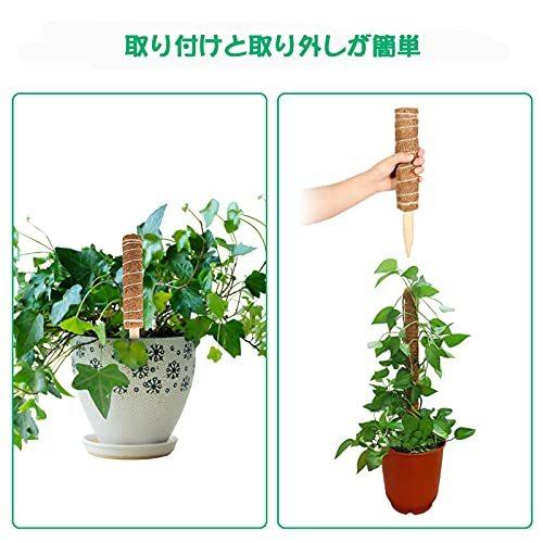Marsviex 植物支柱 園芸支柱 つる性植物 観葉植物 ココナッツ支柱 植物ラベル 植物ネクタイ 植物サポート フラワ A B08xyw3vsl 2211 太陽4号ヤフー店 通販 Yahoo ショッピング