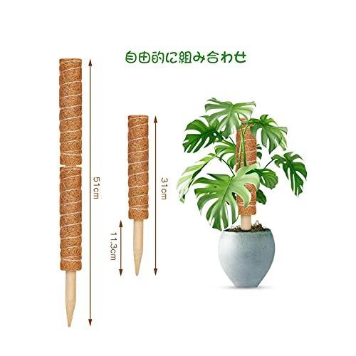園芸 支柱 植物支柱 ヘゴ支柱 Jaone 植物サポート モンステラ つる性植物 観葉植物 水分 養分維持 30cm 6本 A B09ctj1fw6 太陽4号ヤフー店 通販 Yahoo ショッピング