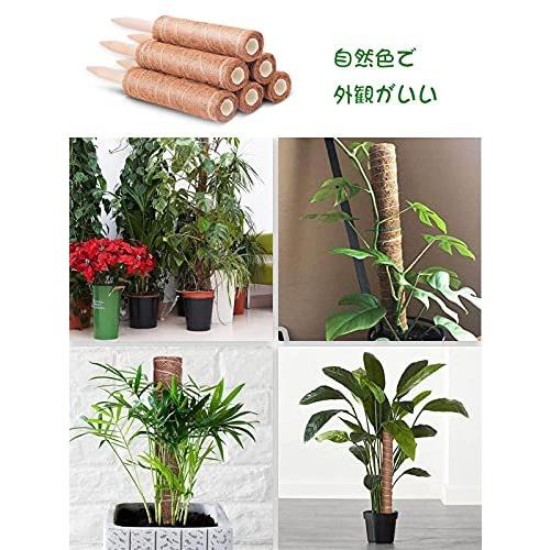 園芸 支柱 植物支柱 ヘゴ支柱 Jaone 植物サポート モンステラ つる性植物 観葉植物 水分 養分維持 30cm 6本 A B09ctj1fw6 太陽4号ヤフー店 通販 Yahoo ショッピング
