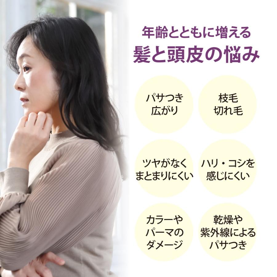 染めない白髪ケア シャンプー詰め替えパック+トリートメントセット 100