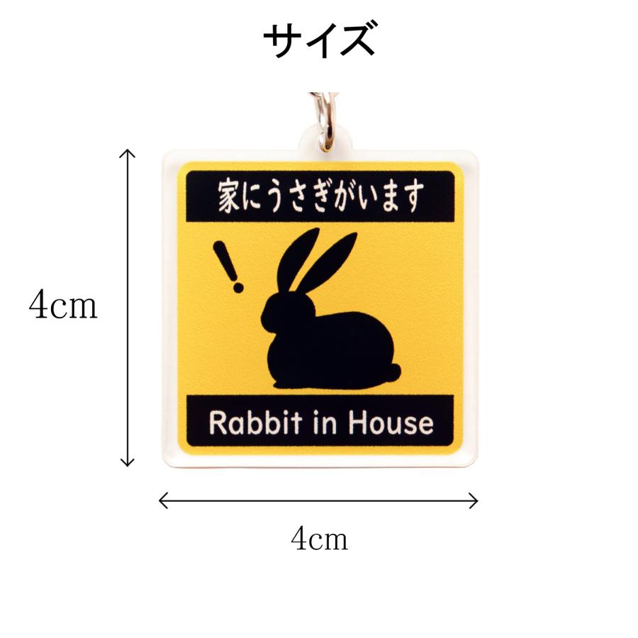 キーホルダー 家にうさぎがいます Rabbit in House ピクトグラム