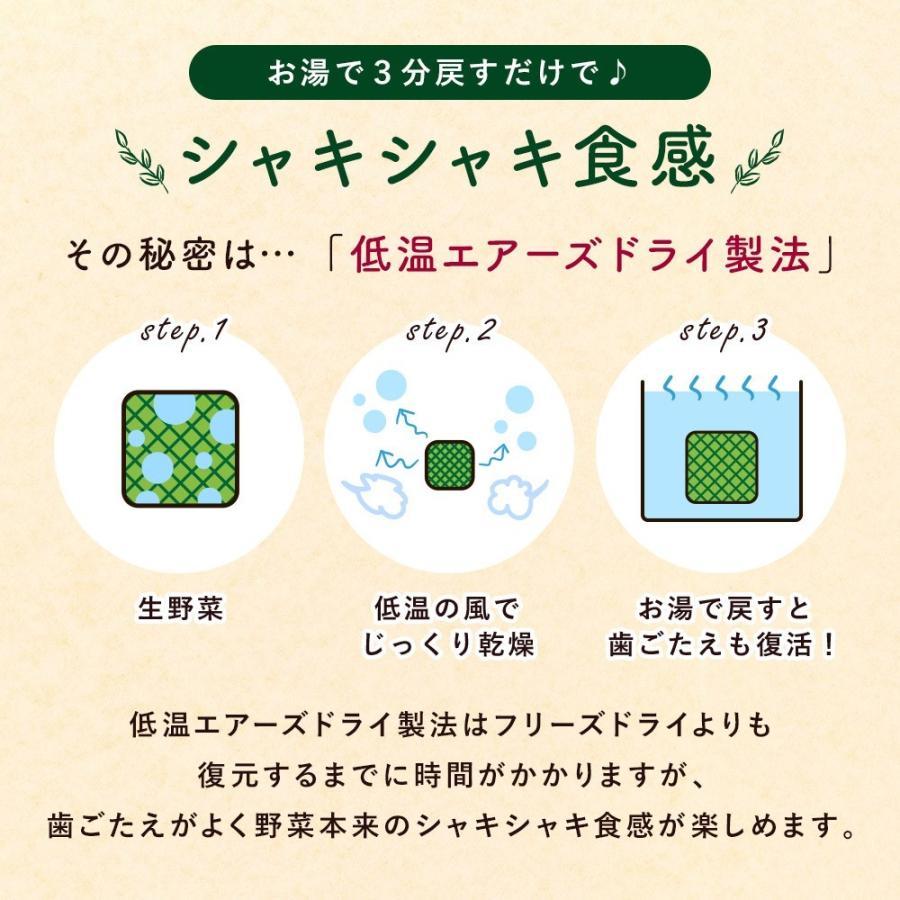 国産 乾燥野菜 九州ドライベジ 乾燥野菜ミックス 栄養 スーパー 味噌汁の具 100g 1袋 ゆうパケット 選べる2種 代引き不可 出荷目安 注文後1 2週間 D Vege Y1 すなお食堂 通販 Yahoo ショッピング