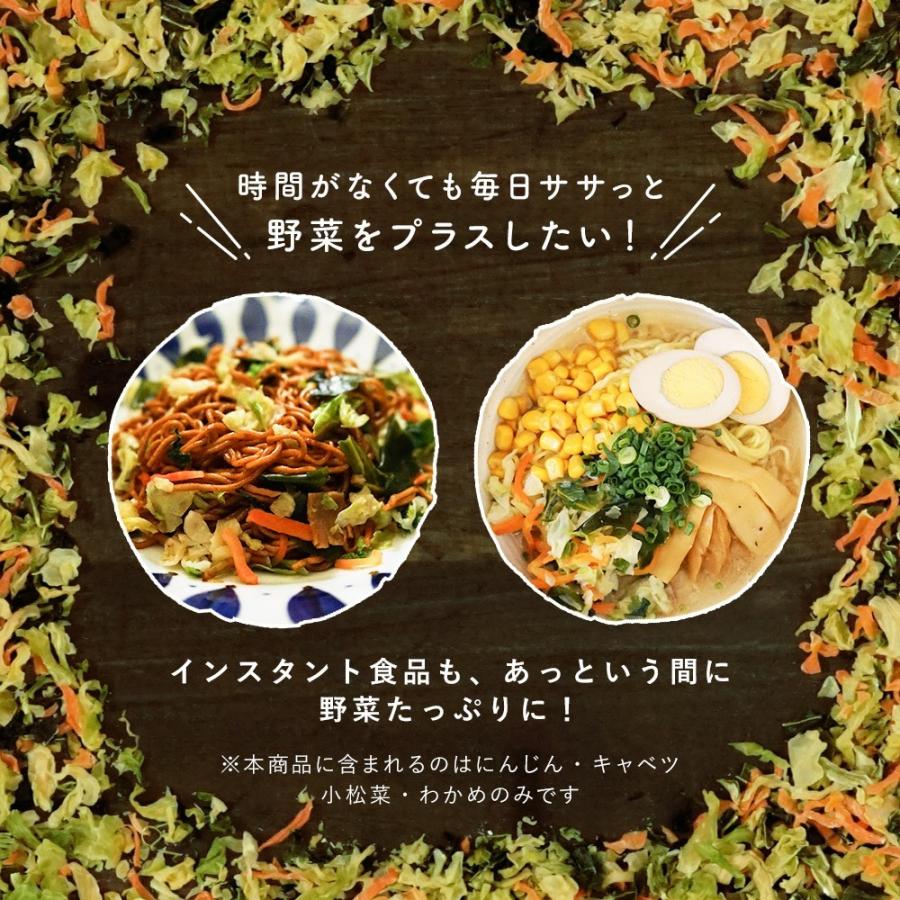 国産 乾燥野菜 九州ドライベジ 乾燥野菜ミックス 栄養 スーパー 味噌汁の具 100g 1袋 ゆうパケット 選べる2種 代引き不可 出荷目安 注文後1 2週間 D Vege Y1 すなお食堂 通販 Yahoo ショッピング