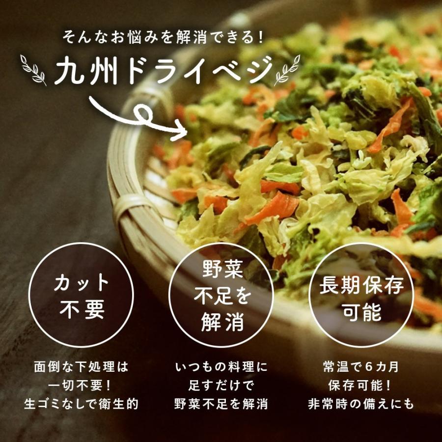 国産 乾燥野菜 九州ドライベジ 乾燥野菜ミックス 栄養 スーパー 味噌汁の具 100g 1袋 ゆうパケット 選べる2種 代引き不可 出荷目安 注文後1 2週間 D Vege Y1 すなお食堂 通販 Yahoo ショッピング