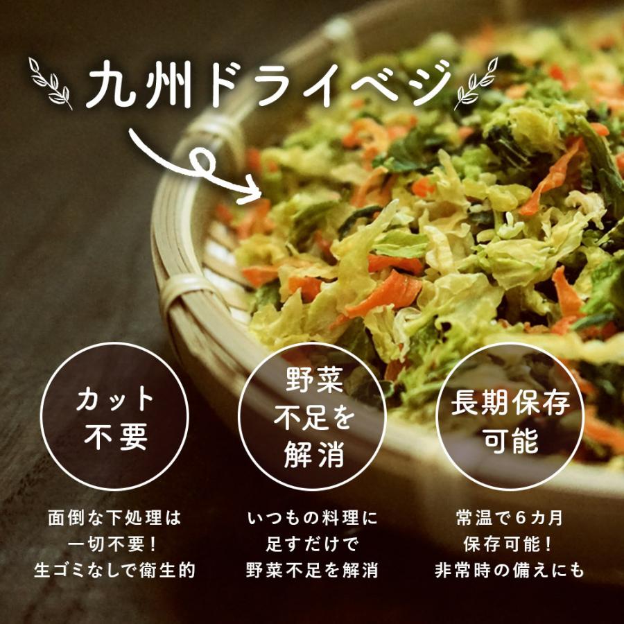 乾燥野菜 国産 栄養 味噌汁の具 スープ 乾燥野菜ミックス 九州ドライベジ100g 5袋 ゆうパケットのため代引不可 出荷目安 4月下旬 末 D Vege Y5set すなお食堂 通販 Yahoo ショッピング