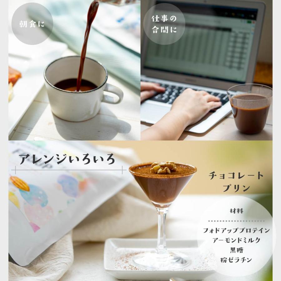 FODUP 300g×1袋 低フォドアップ（FODMAP） WPIプロテイン アスパルテーム不使用 ポイント利用 | ブランド登録なし | 17