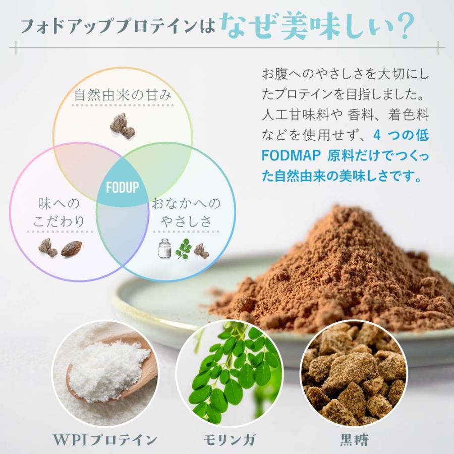 FODUP 300g×1袋 低フォドアップ（FODMAP） WPIプロテイン アスパルテーム不使用 ポイント利用 | ブランド登録なし | 11