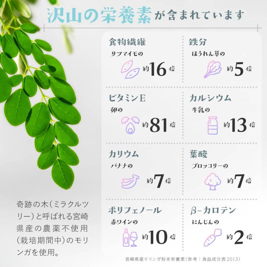 FODUP 300g×1袋 低フォドアップ（FODMAP） WPIプロテイン アスパルテーム不使用 ポイント利用 | ブランド登録なし | 12