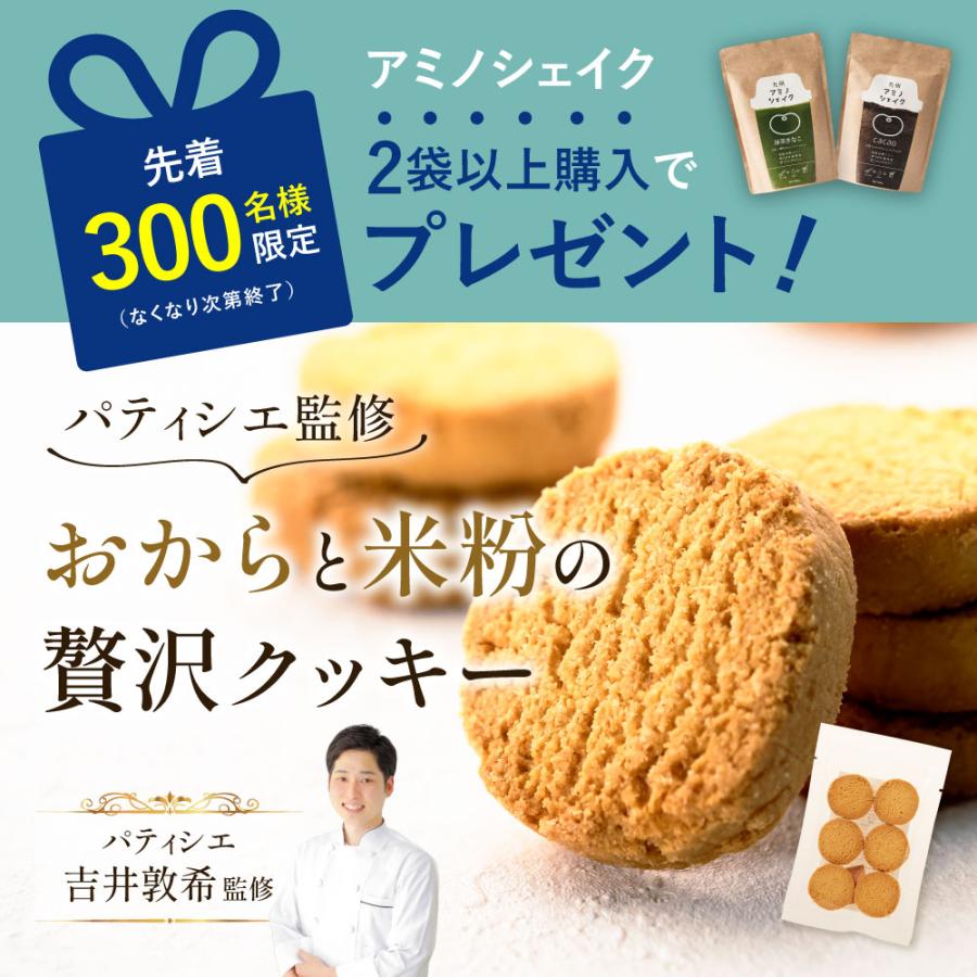 【今ならおまけ付】プロテイン 大豆 ソイ 無添加 置き換え ダイエット 九州アミノシェイク 300g×1袋 アスパルテーム不使用 高たんぱく | ブランド登録なし | 12