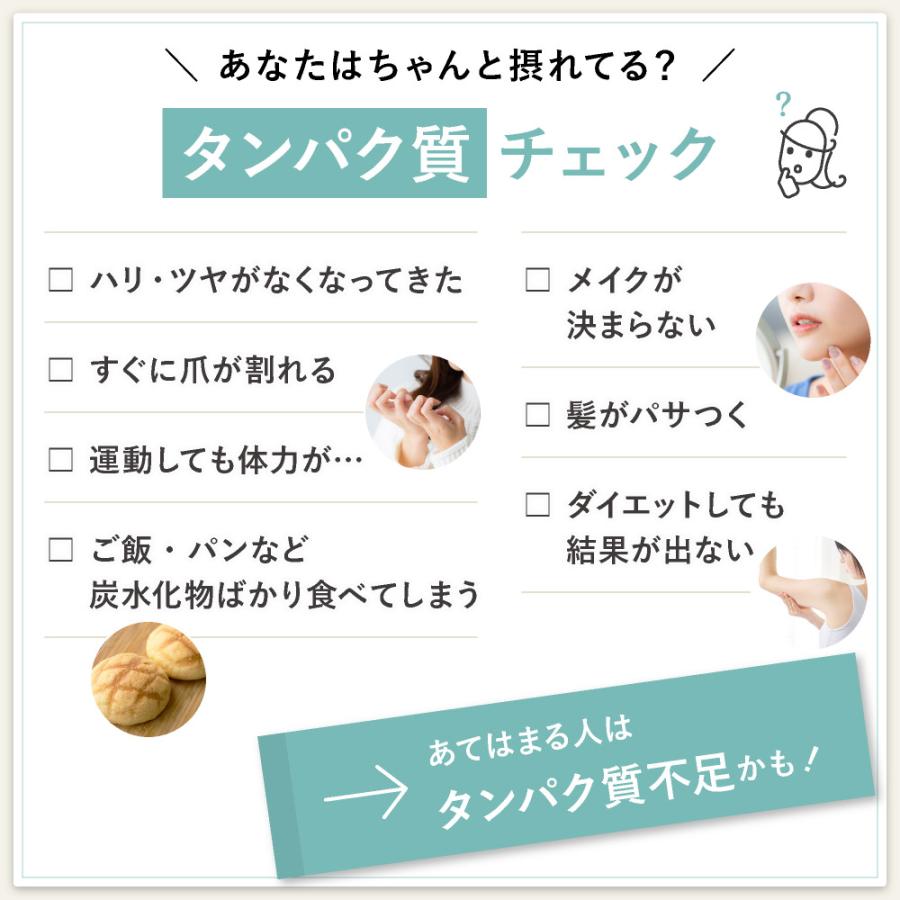 【今ならおまけ付】プロテイン 大豆 ソイ 無添加 置き換え ダイエット 九州アミノシェイク 300g×1袋 アスパルテーム不使用 高たんぱく | ブランド登録なし | 16