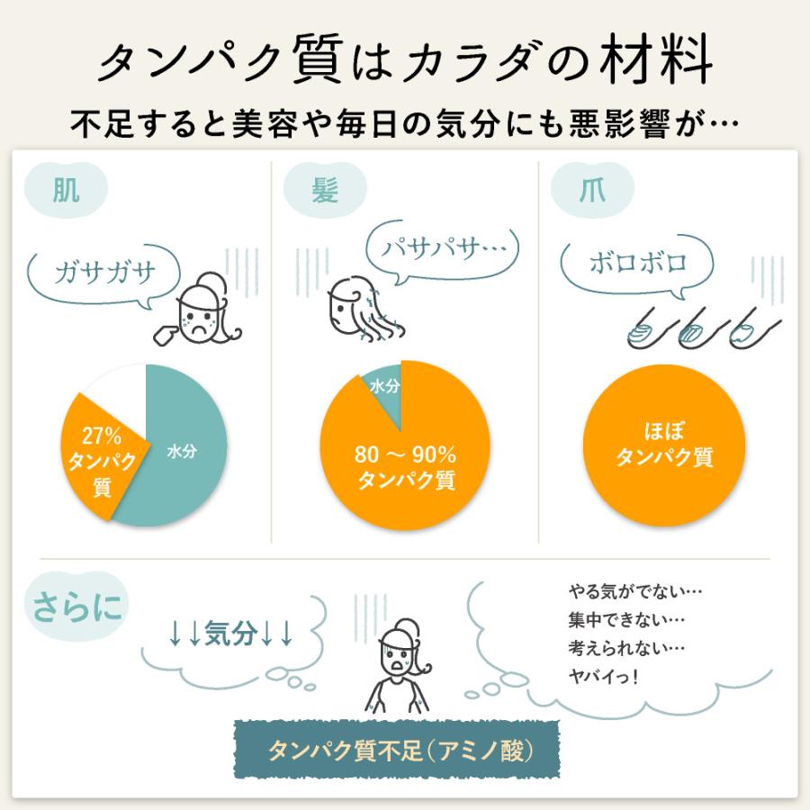 【今ならおまけ付】プロテイン 大豆 ソイ 無添加 置き換え ダイエット 九州アミノシェイク 300g×1袋 アスパルテーム不使用 高たんぱく | ブランド登録なし | 17