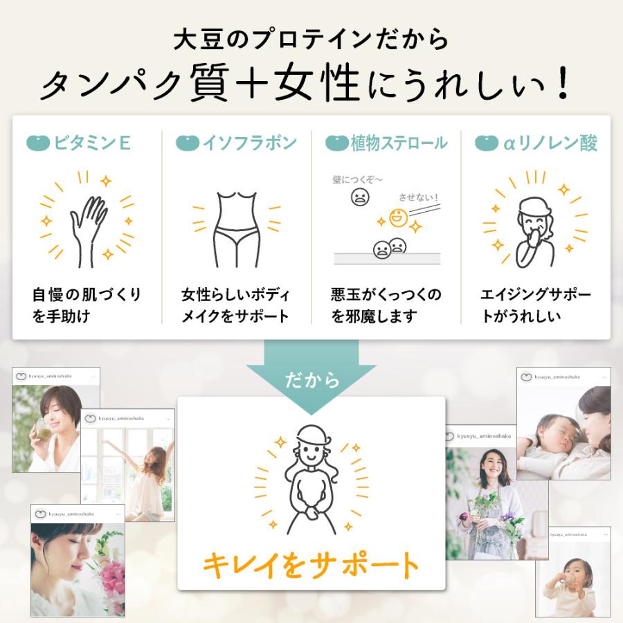 【今ならおまけ付】プロテイン 大豆 ソイ 無添加 置き換え ダイエット 九州アミノシェイク 300g×1袋 アスパルテーム不使用 高たんぱく | ブランド登録なし | 18