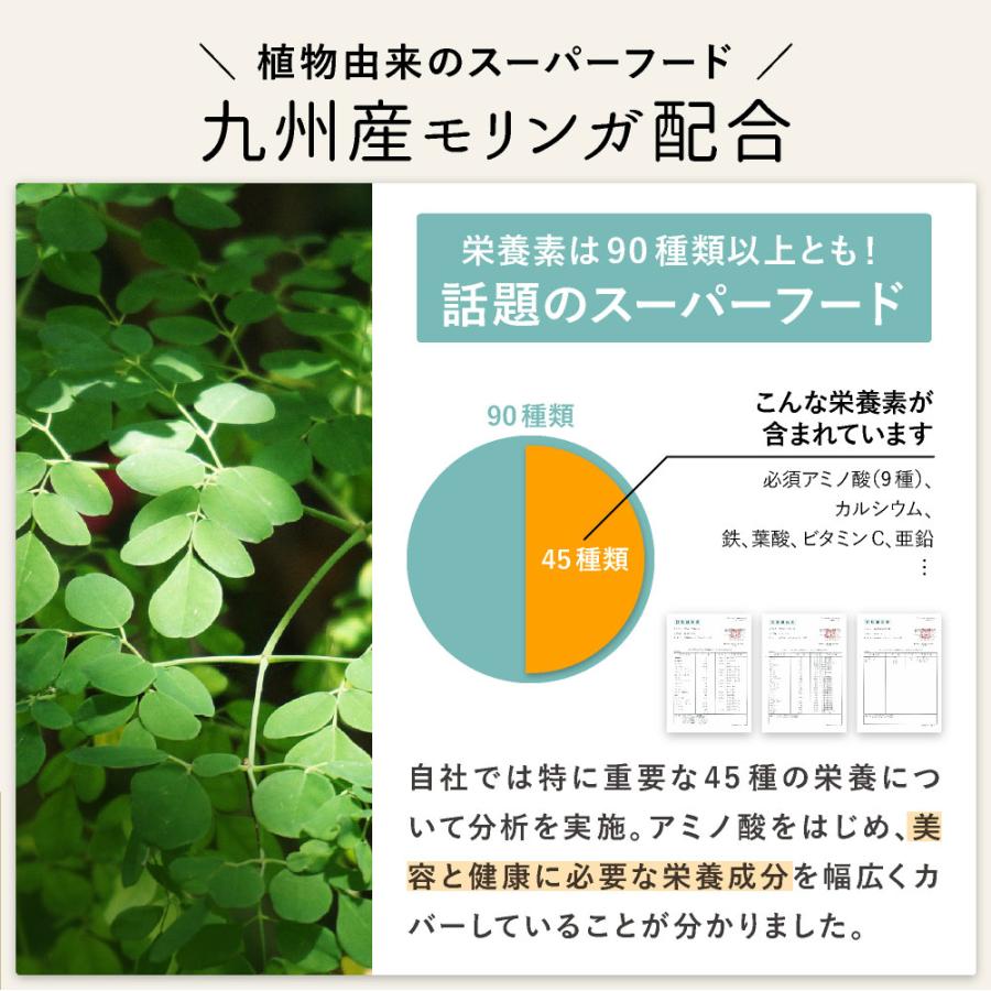 【今ならおまけ付】プロテイン 大豆 ソイ 無添加 置き換え ダイエット 九州アミノシェイク 300g×1袋 アスパルテーム不使用 高たんぱく | ブランド登録なし | 19