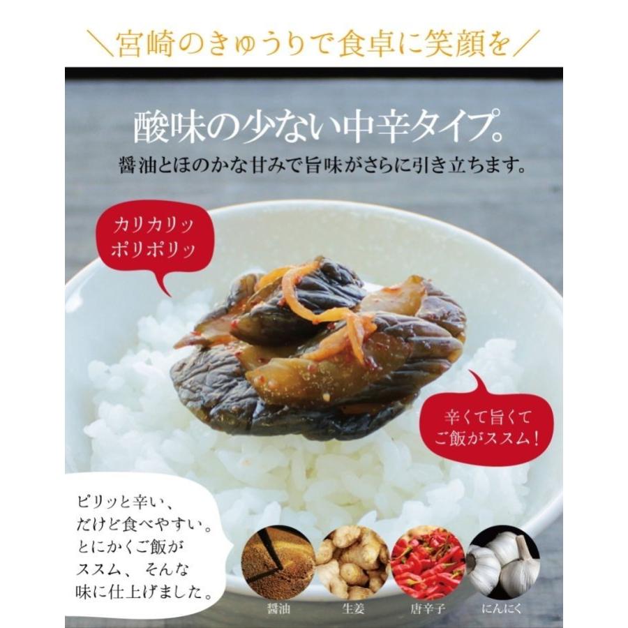 きゅうり キムチ オイキムチ 90g ３袋 国産 宮崎県産 ごはんの供 おつまみ ゆうパケット 出荷目安 ご注文後1 2週間 Kimukyuu3 3 すなお食堂 通販 Yahoo ショッピング