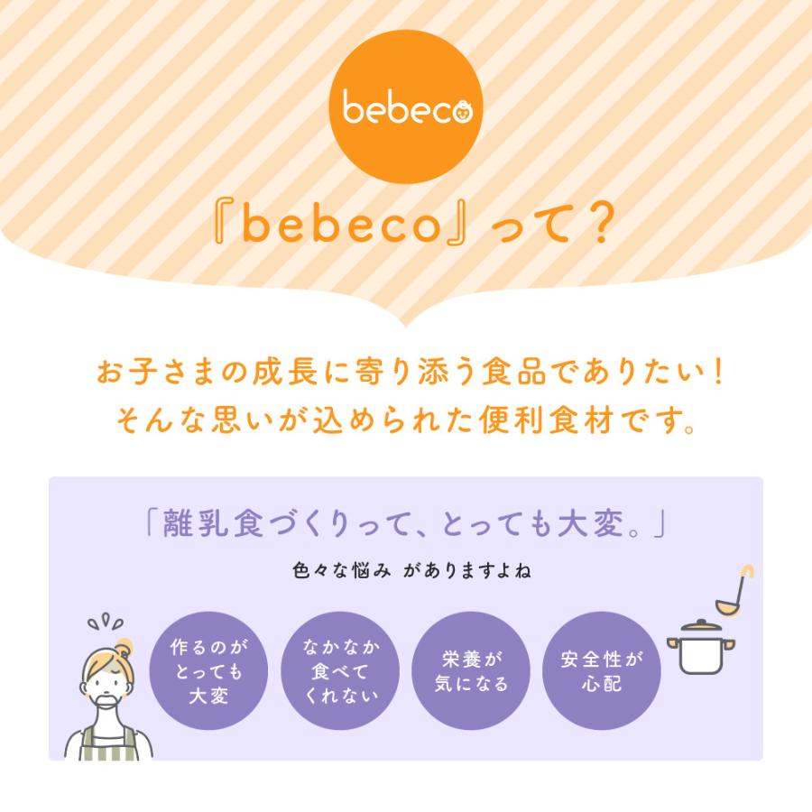 bebeco 離乳食 国産 まるごと納豆 ベビーフード 60g×1袋 無添加 粉末 パウダー 納豆菌 送料無料 8ヶ月｜sunao-syokudou｜09