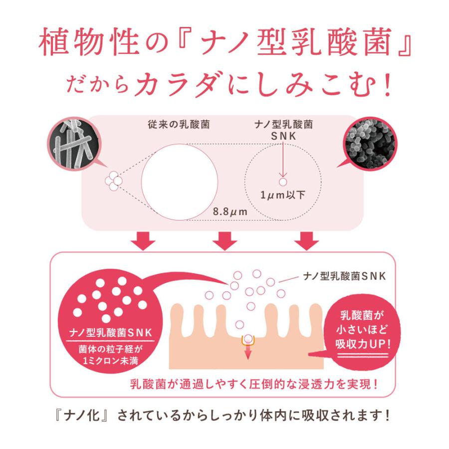 乳酸菌nano 活きてる酵素 1粒 約30日分ナノ型乳酸菌チュアブル 4粒でヨーグルト1kg分 出荷目安 1 2週間 Nano 1 すなお食堂 通販 Yahoo ショッピング