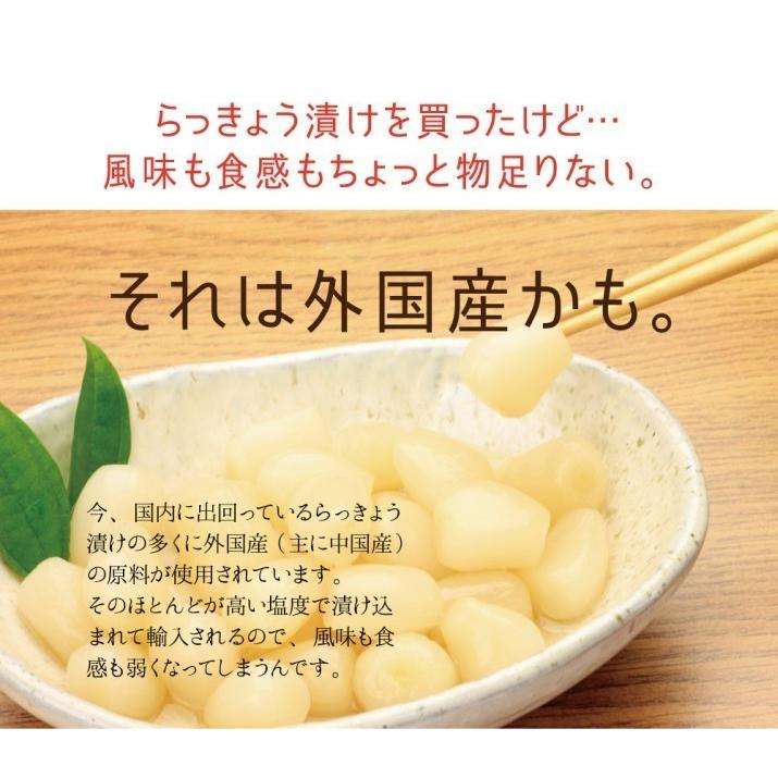 ロイヤリティフリーらっきょう 種 最高の花の画像