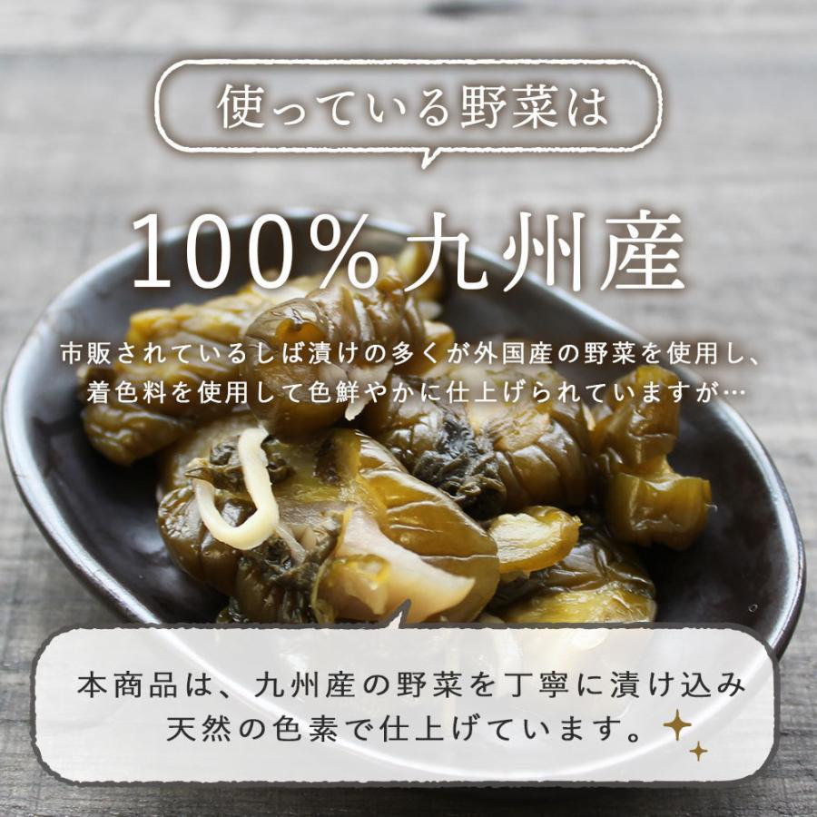しば漬け きゅうり 漬物 国産 あっさり 九州産 生姜 みょうが 九州産150g 3袋セット しばづけ ナス 出荷目安 注文後1 2週間 Shiba3 すなお食堂 通販 Yahoo ショッピング