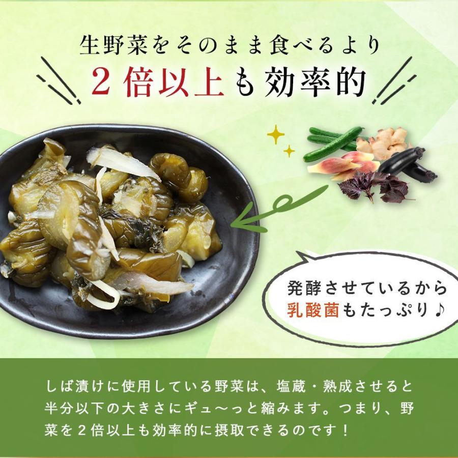 しば漬け きゅうり 漬物 国産 あっさり 九州産 生姜 みょうが 九州産150g×3袋セット しばづけ ナス 【出荷目安：ご注文後5日〜7日】｜sunao-syokudou｜07