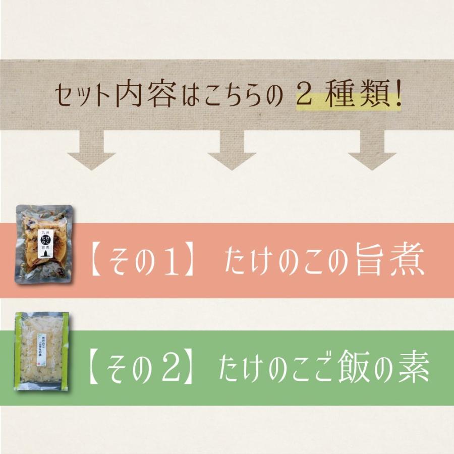 人気商品は 九州 たけのこ 料理 2種セット 国産 竹の子 タケノコ 季節限定 出荷目安 ご注文後1 2週間 Wantannas Go Id