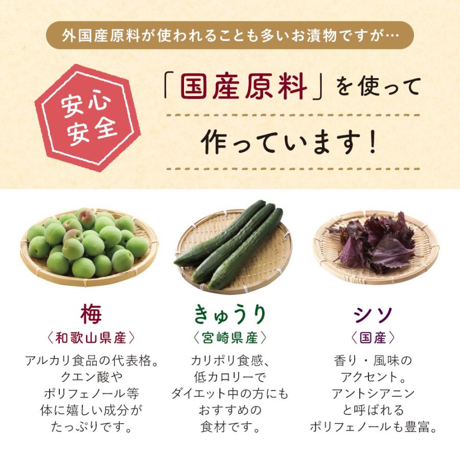 カリカリ南高梅 国産 無添加 きゅうり 刻み漬物 ３袋 梅 九州 お取り寄せ グルメ ゆうパケットのため代引不可 出荷目安 ご注文後1 2週間 Umeq3set すなお食堂 通販 Yahoo ショッピング