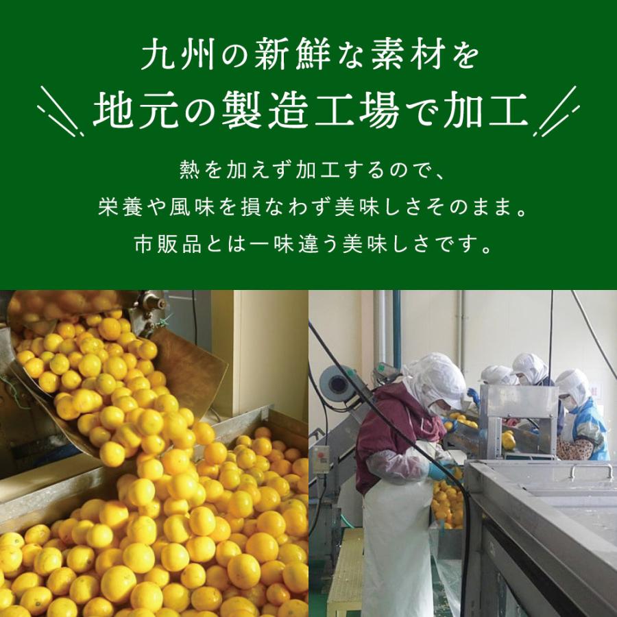九州産 無添加 ゆずこしょう 柚子胡椒 100g 1袋 九州産青唐辛子 九州産柚子使用 出荷目安 ご注文後1 2週間 Yuzukoshou1 すなお食堂 通販 Yahoo ショッピング