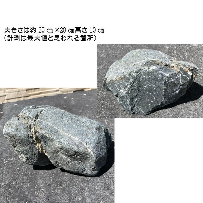 北アルプスのあぶら石NO.3 アクアリウム 飾り石 油石 水槽 置石 植木