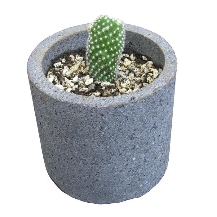 植木鉢 おしゃれ 国産溶岩石 溶岩石フラワーポット（S) サボテン 石 鉢