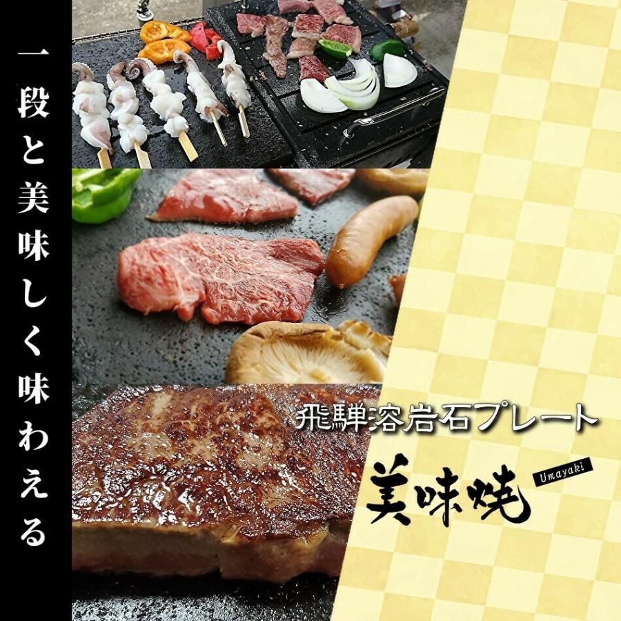 TV 番組 紹介 焼肉用 飛騨溶岩プレート 美味焼 Umayaki 彩 -R-国産