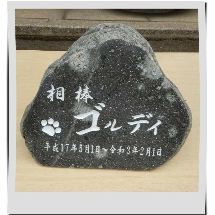 墓石 ペットのお墓NO.14【本格文字彫り入れ】 天然石 屋外用 約26cm