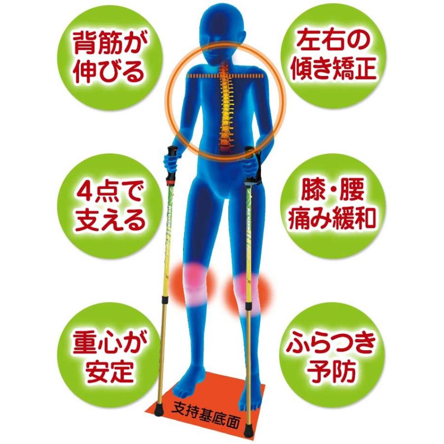 シナノ　あんしん２本杖　ウォーキングポール |  | 06