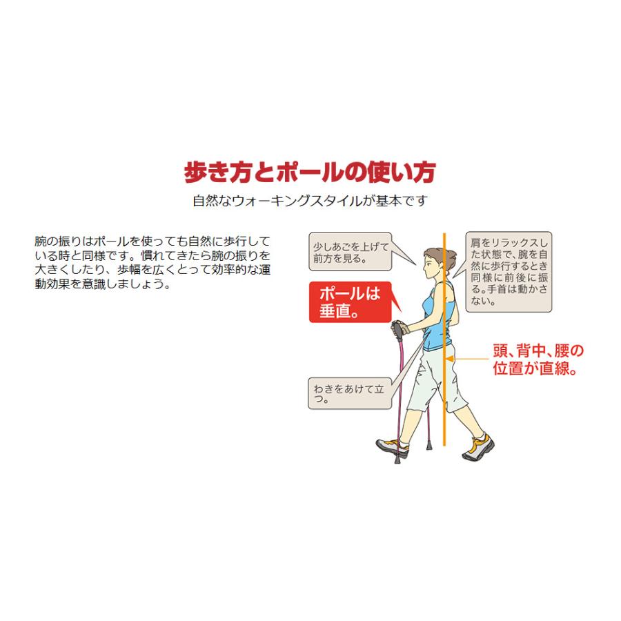 KIZAKI(キザキ） 歩ミングポール　APAI-7H202 （ハングストップモデル）　ノルディックウォーキングポール |  | 16