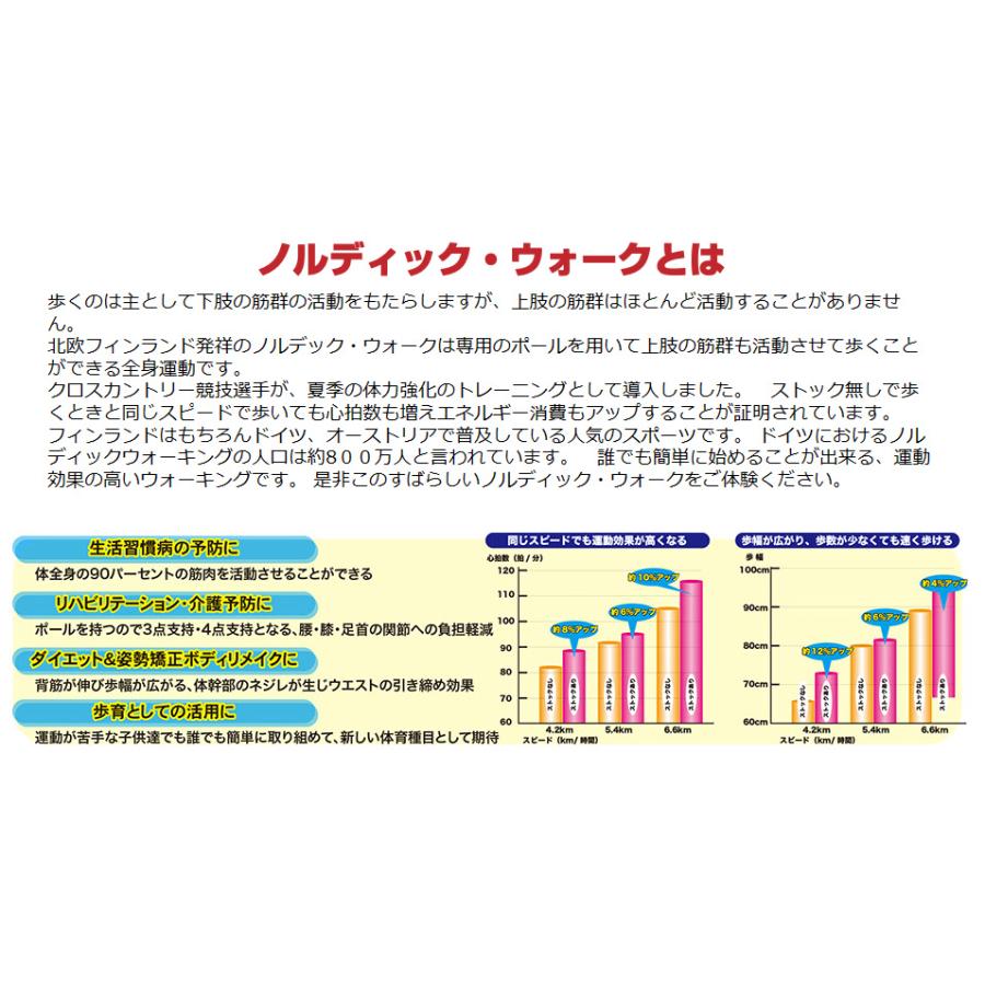 KIZAKI(キザキ） 歩ミングポール　APAI-7H204　女性向け   （ハングストップモデル） ノルディックウォーキングポール |  | 10