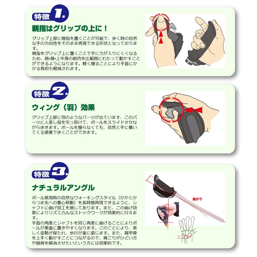 KIZAKI(キザキ） 歩ミングポール　APAI-7H204　女性向け   （ハングストップモデル） ノルディックウォーキングポール |  | 09