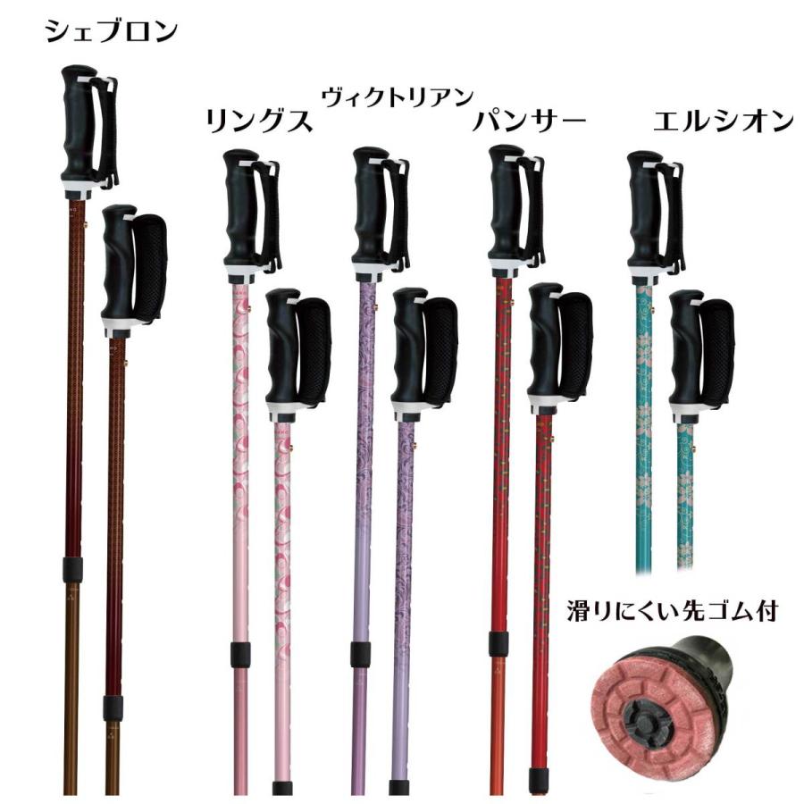 シナノ　もっと安心2本杖　ウォーキングポール |  | 01