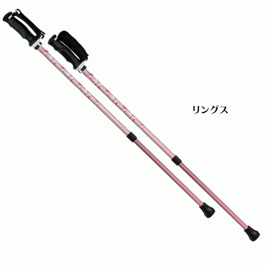 シナノ　もっと安心2本杖　ウォーキングポール |  | 03