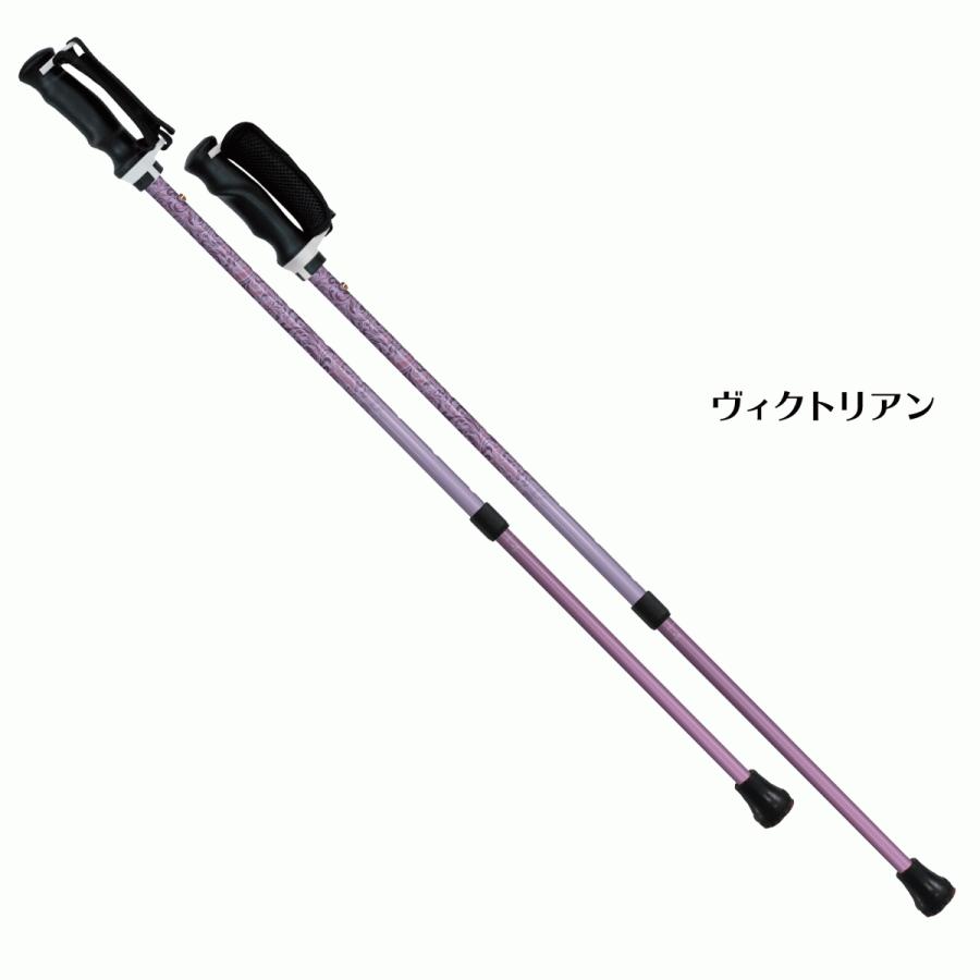 シナノ　もっと安心2本杖　ウォーキングポール |  | 04