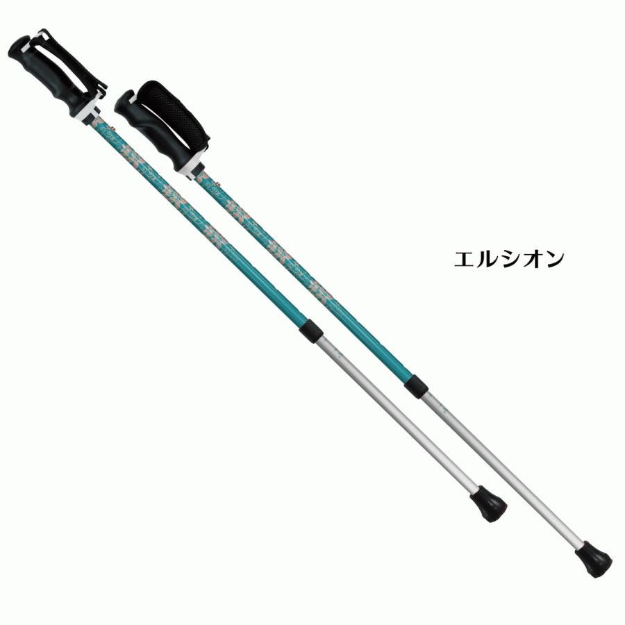 シナノ　もっと安心2本杖　ウォーキングポール |  | 05