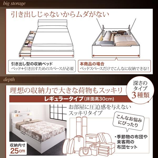 新価格版 組立設置付 モダンライトガス圧式跳ね上げ収納ベッド Lunalight ルナライト 薄型プレミアムボンネルコイルマットレス付き 横開き セミシングル 深さレギュラー