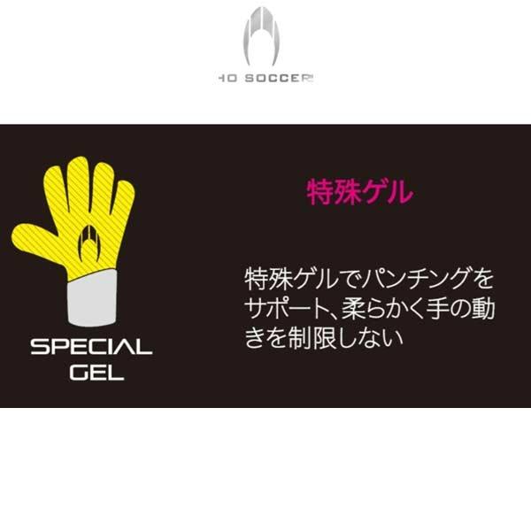HO SOCCER（エイチオーサッカー） GKグローブ SSG レジェンド ロール