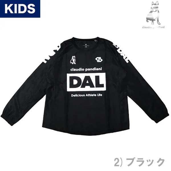 クラウディオパンディアーニ/サッカージャンキー ビブス SoccerJunky クラウディオパンディアーニ/サッカージャンキー