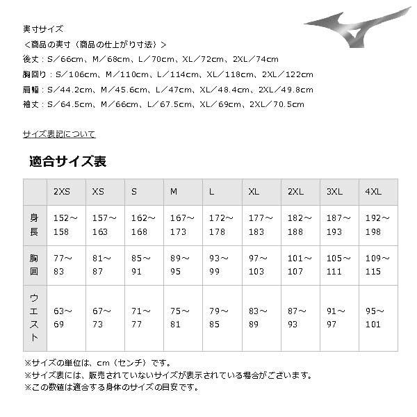 MIZUNO（ミズノ） サッカー フットサル ウェア モレリア ハイブリッド
