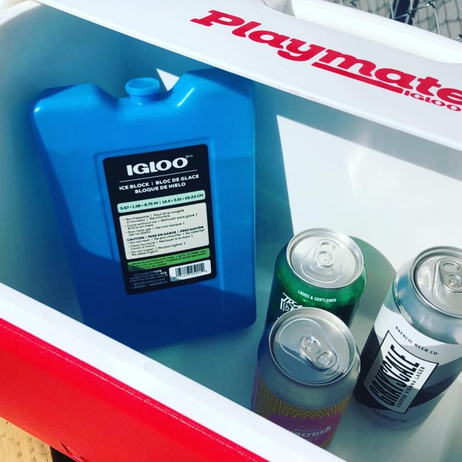 IGLOO(イグルー) アイスフリーザーブロック【L】 25201 |  | 01