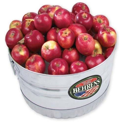 BEHRENS【ベーレンス】ワンブッシェルユーティリティーバケット スチール製バケツ タブ アメリカ製 32S |  | 01