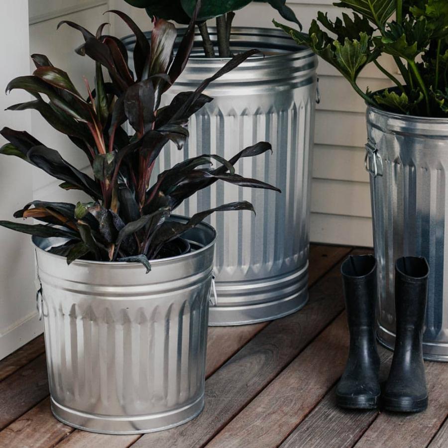 BEHRENS【ベーレンス】10ガロンダストボックス（ふた付き）ゴミ箱 スチール製ペール アメリカ製 6210 |  | 03