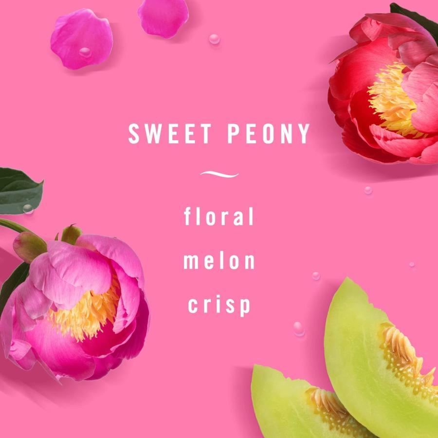 USA febreze(ファブリーズ) スイートピオニー 消臭スプレー 438ml |  | 02