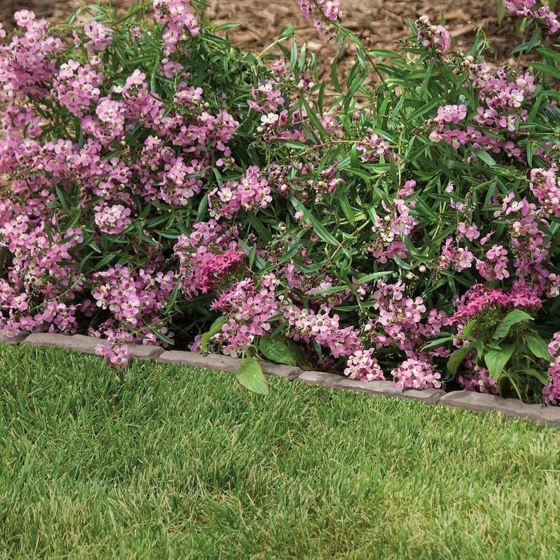 SUNCAST(サンキャスト)　フラッグストーンストリップ FSS36 |  | 01