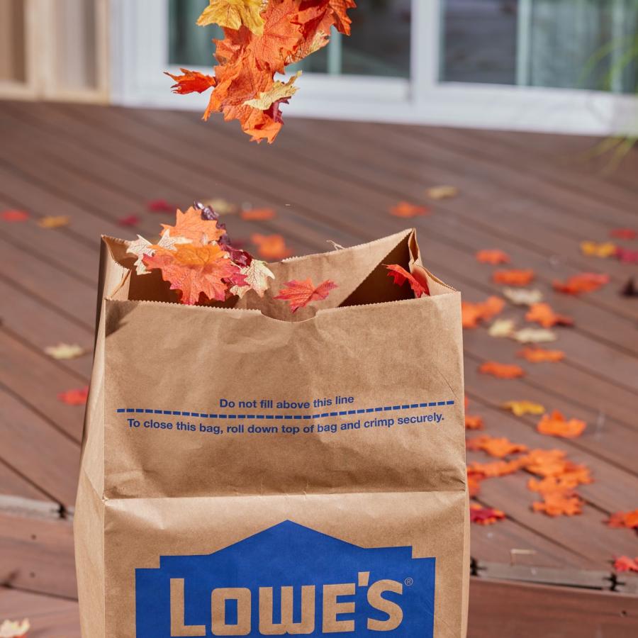 Lowe's 30gal ペーパーバッグ　5枚セット LOWESLL |  | 05